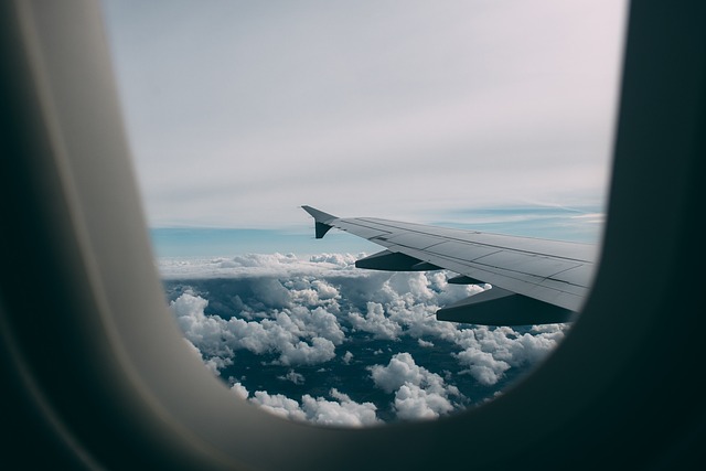 All Airline Name Change Policy